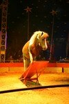 cheval___bascule