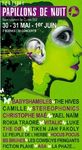 papillon_2_nuit