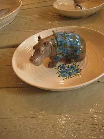 jongerius_hippo