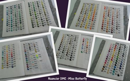 Nuancier DMC - The End -Miss Butterfly (2)