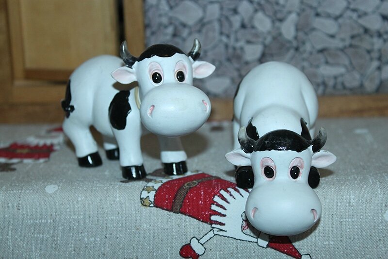 vaches01