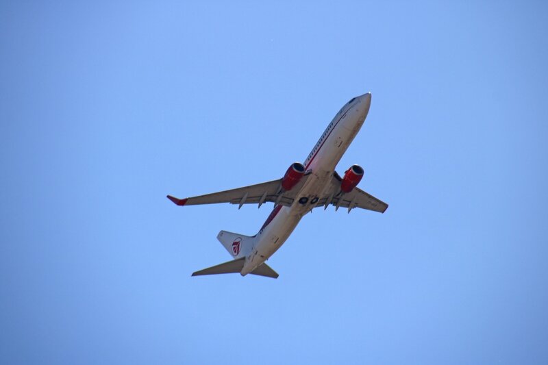 Boeing 737 d'Air Algérie