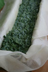 Pastilla au saumon épinards - Minouchka 2