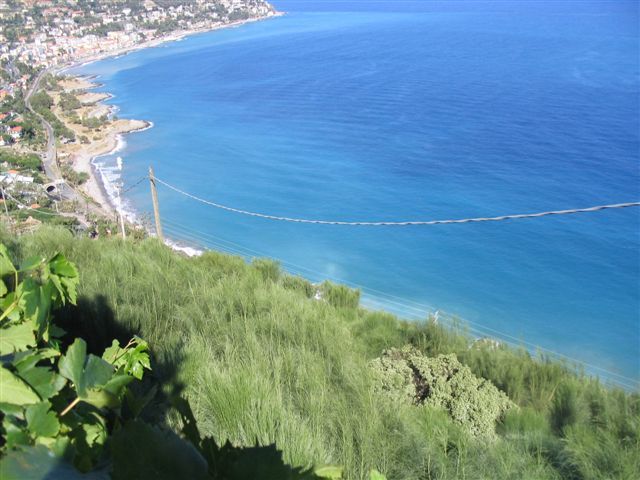 Bordighera Bergon P