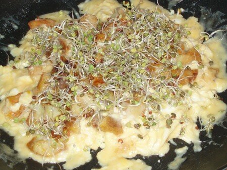 omelette_gastronomique
