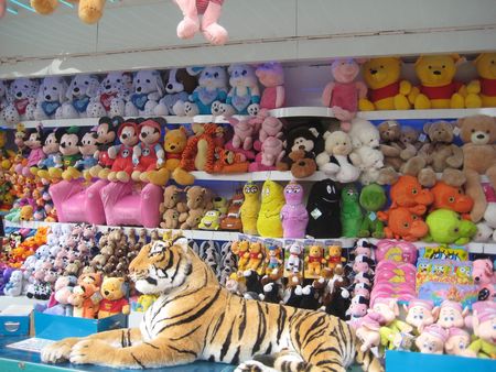 Photo 66755