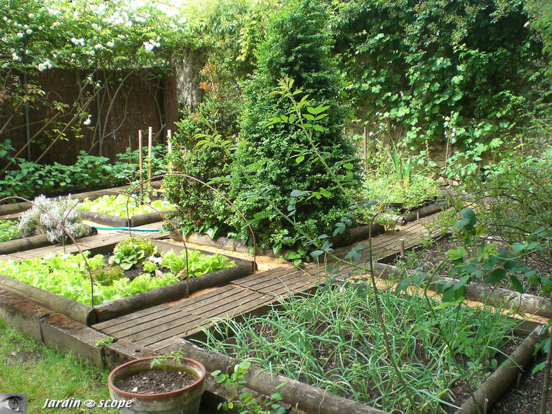 Le potager en carrés au fond du jardin