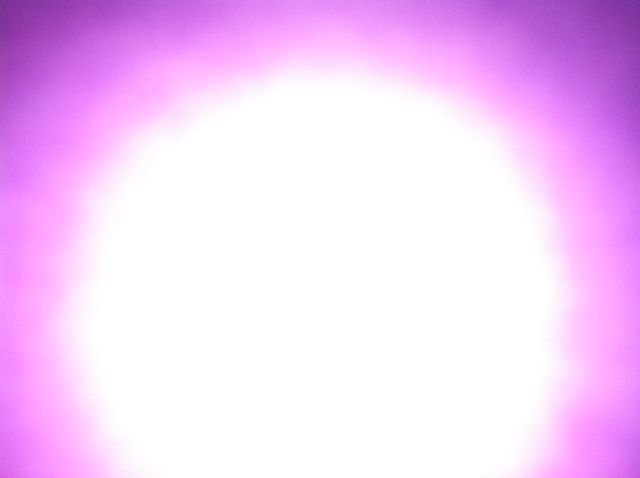 Spectrôm Rose Auréole