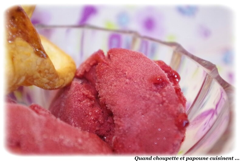 sorbet aux fruits rouges-745