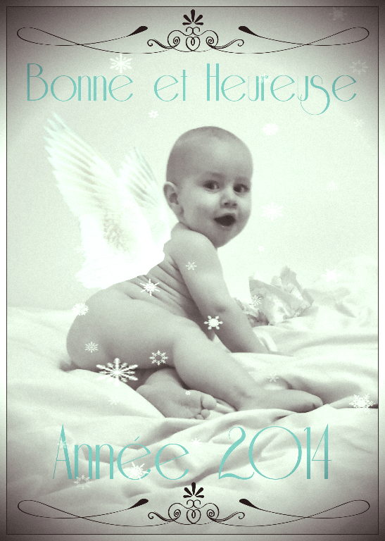 Bonne Année 2014 doris 11 mois