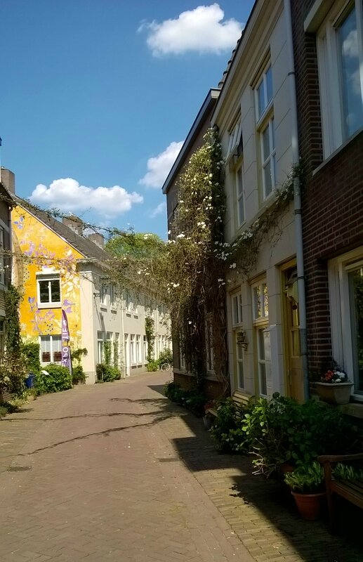 ruelle-bois-le-duc
