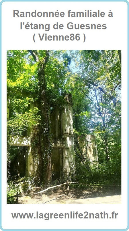 Randonnée familiale à l'étang de Guesnes