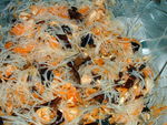 DSCF0238