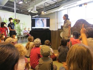Atelier fourmis Cité des enfants