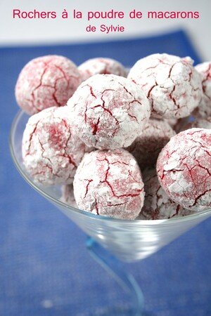 Rochers à la poudre de macarons de Sylvie recettes Glace aux macarons