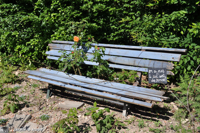 Le banc tagué du vilain petit jardin de Jean-Michel Vilain