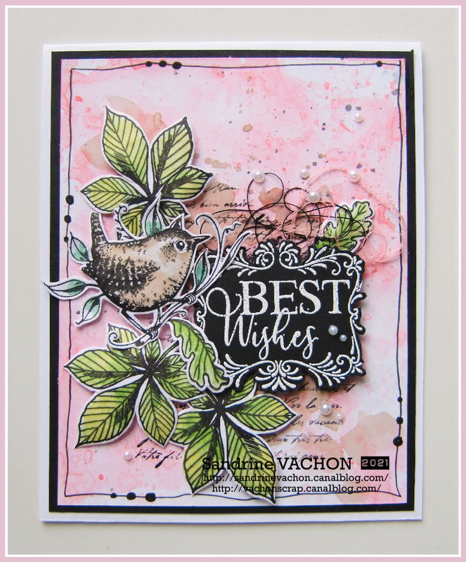 Carte BEST WISHES Pink Ink Designs (1)