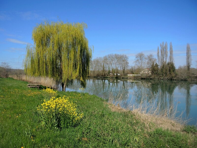 Peyrehorade, bord d'Adour, printemps (64)