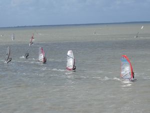 windsurf 003