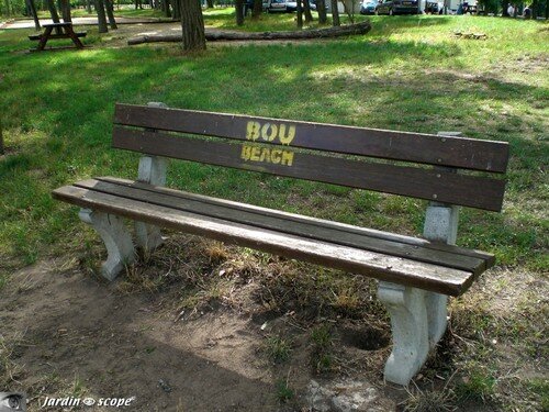 Banc en bois avec graffiti 