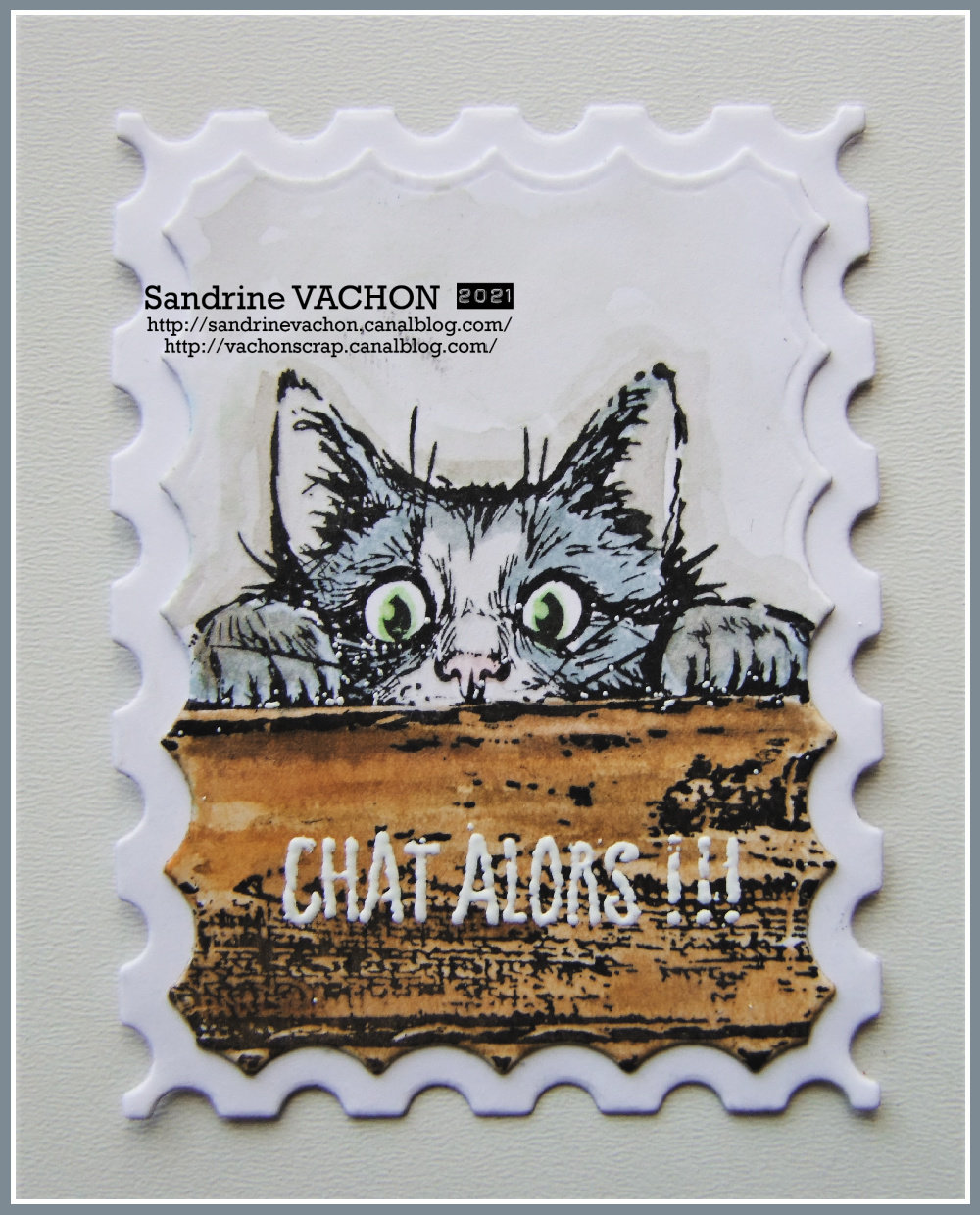 chat sandrine vachon dt
