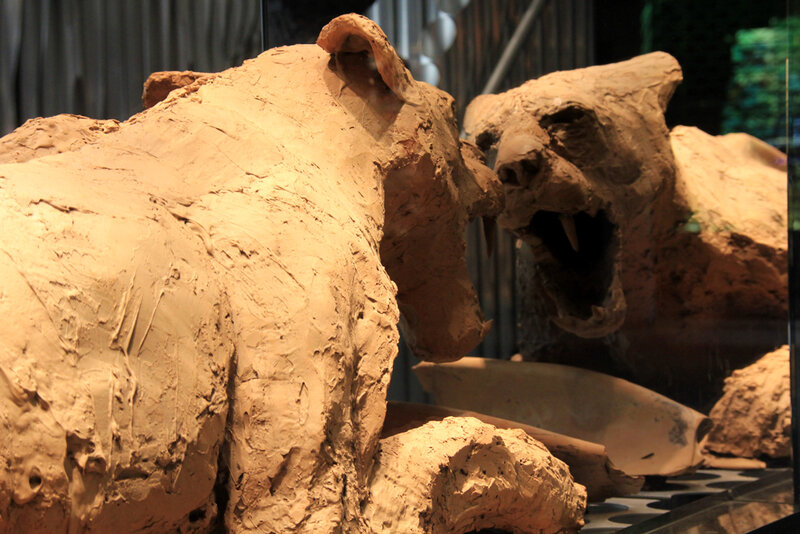 sculpture_chocolat_felin