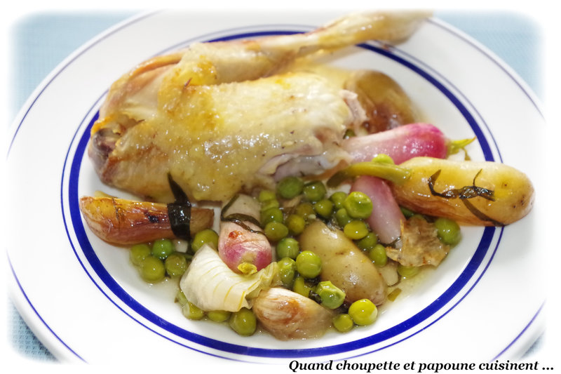 poulet aux lègumes de printemps-2698