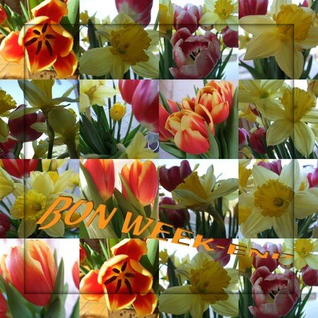 tulipes_et_jonquilles_1