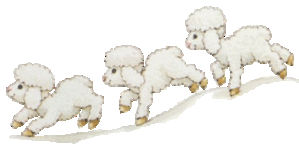3moutons