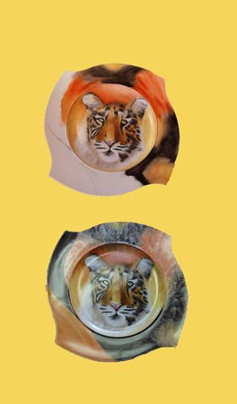 tigre2