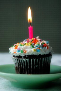 birthday-cupcake-candle-4748899-h-255x382