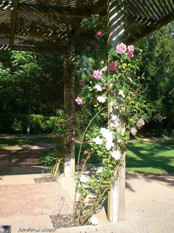 Au parc Floral de la Source à Orléans