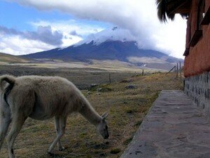 cotopaxi_national_park