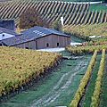 Le Vin des Côtes ( Rive Droite) - Primeurs 2011