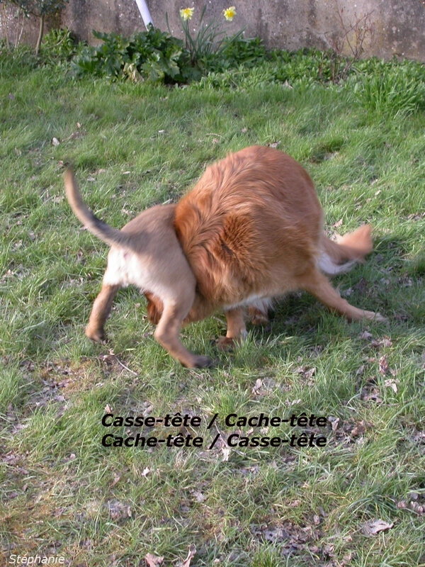 stephanie-cache1