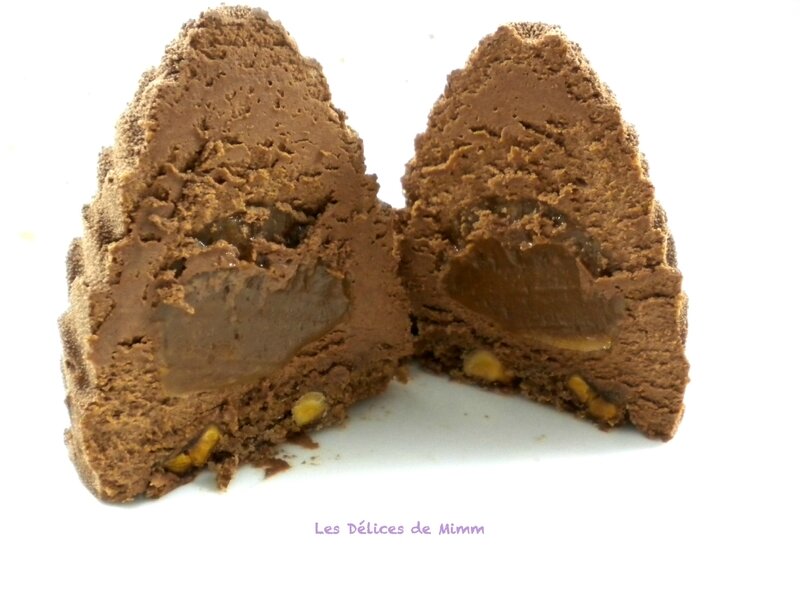 Petitsentremetspommesdepin6