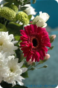 Fleurs_kiki