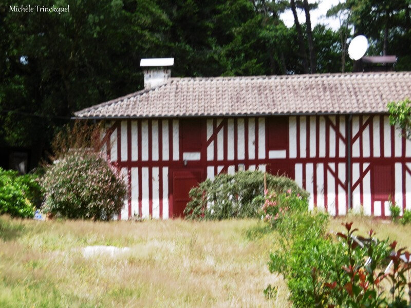 Fleurs de Léon et Détails maisons 050718