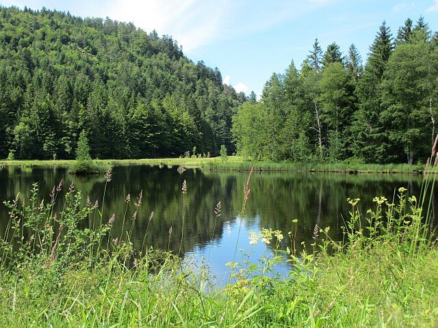 blog ger14