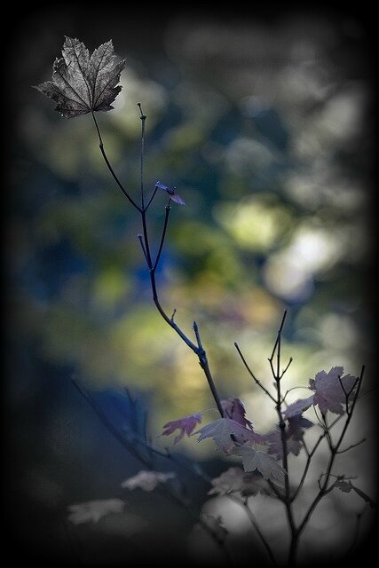 SOLITUDE