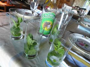 mojitos 006