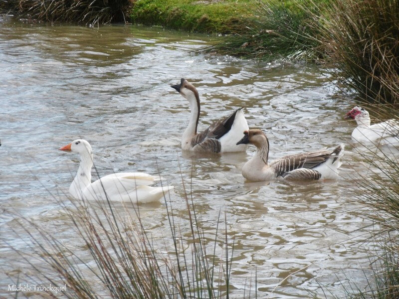 Lac de Tastoa 010418