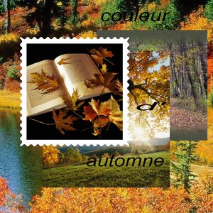 couleur_d_automne