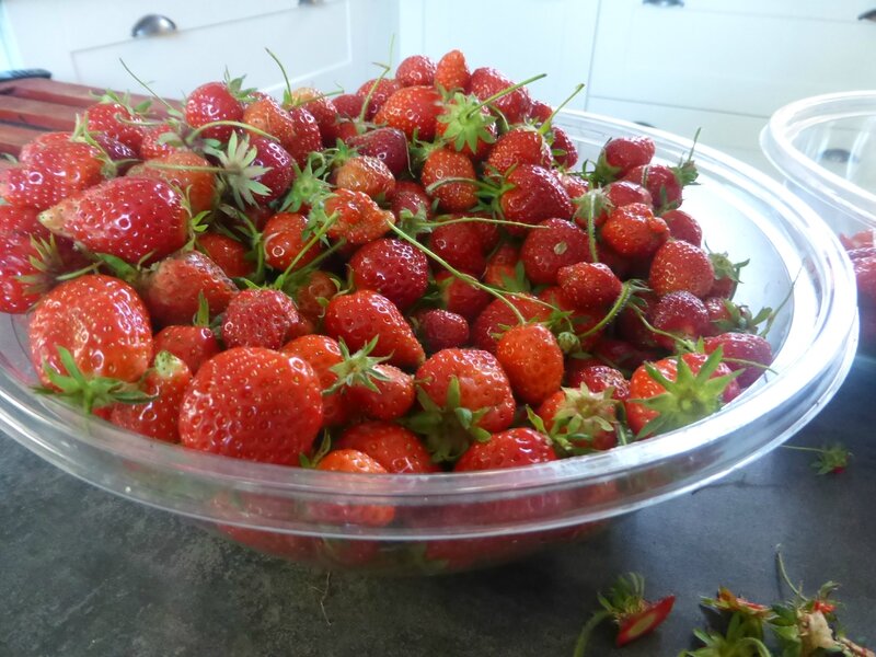 16-fraises confiture (3)