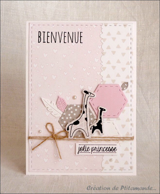 Carte naissance girafe fillette (2)