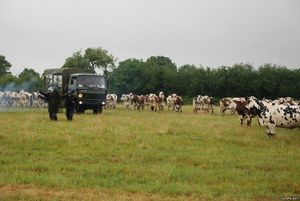 Non a l'aeroport de notre dame des landes (8)