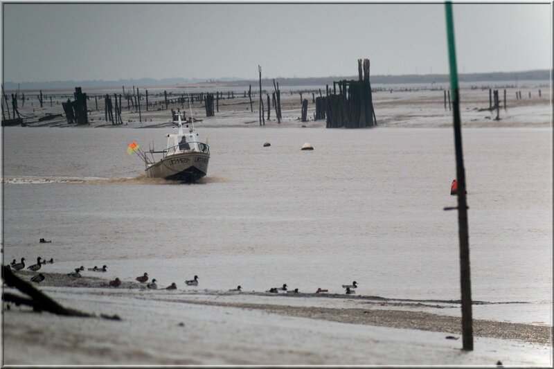 Aiguillon Pavé bateau canards paysage vignettage 131116