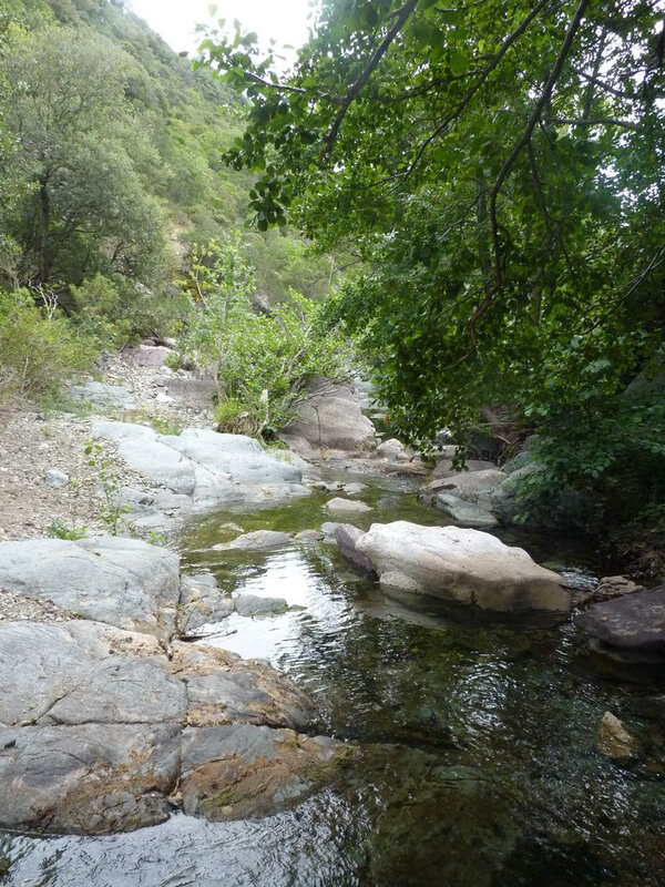 Minerve_21-08-2019(24)