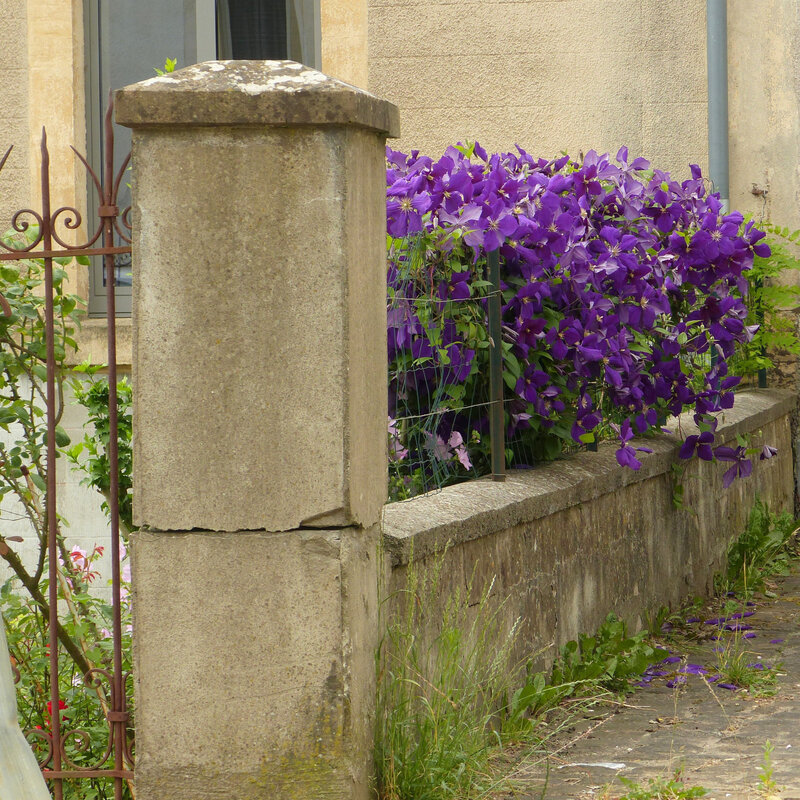 aa les fleurs du quartier6