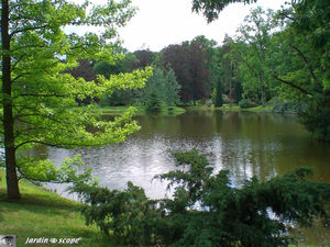 9344_Le_parc_de_Courson